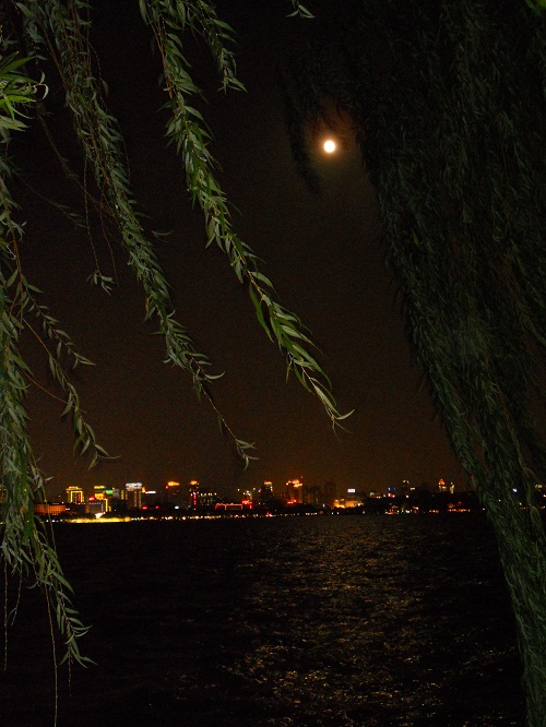 平湖秋月，月上树梢