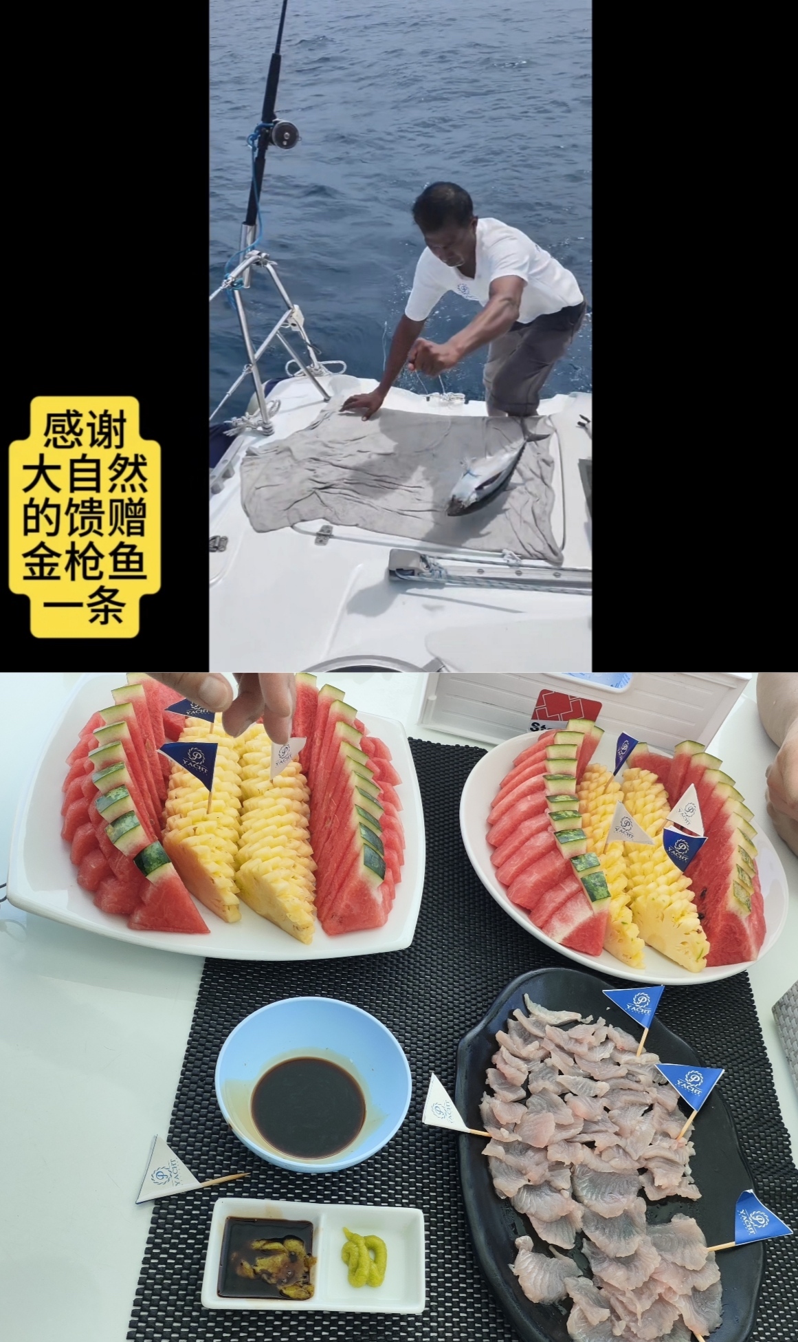 出海勾到的金枪鱼,片了生鱼