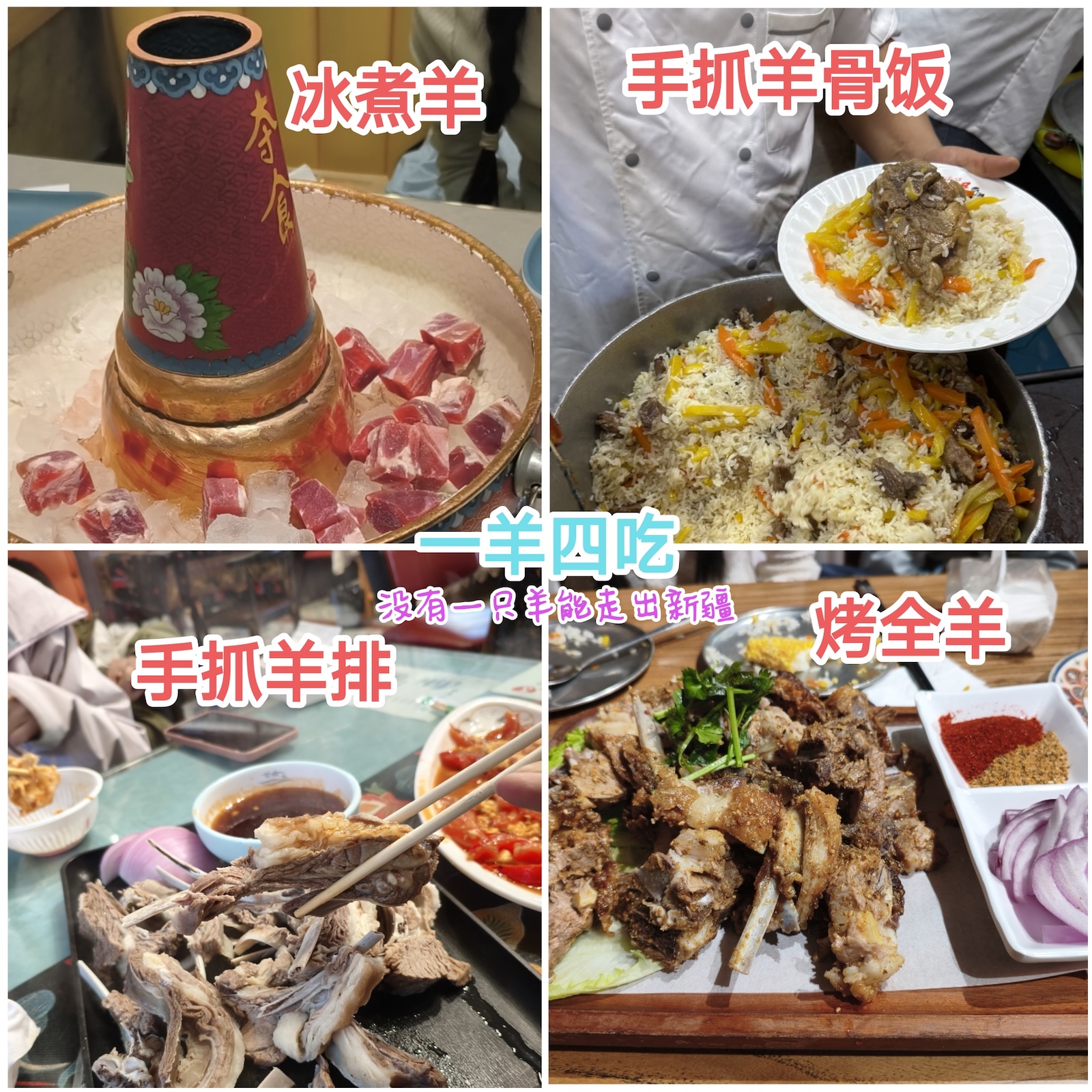 新疆的羊